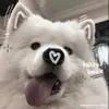 meodencute0