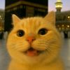 izzulh.q