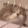 the_design_is_ver_human