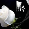 maian1507
