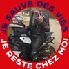 mr.pedrobonetmiro