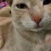_samy_i