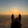 horse_ride3