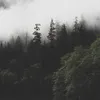 alivibezzzx07