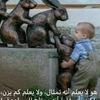 hamadaelsayd75