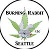 burning_rabbit