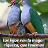 hazelmartinez15
