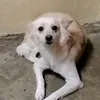 aibestfinds97