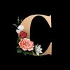 cla_riv