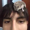 franciscojara74