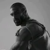 gabraosuperior