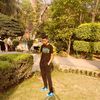 daim_here8