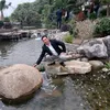dyqbcrpp7bok