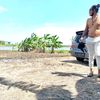 j.agung.wibowo
