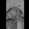 mariomm83