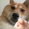 machakemmuoi