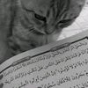only_fear_allah1