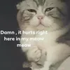 thsmuffin