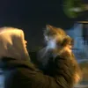 _ayuta0