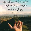 ali7245530