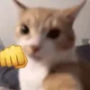 _nelvan857