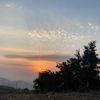 nourkarhani