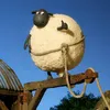 hamshsfy_cuuy