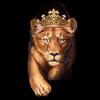 the_lioness_queen