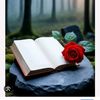 bookfansam