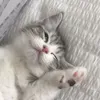 remuk_nn_