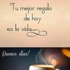 amy_nenay
