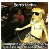 albertoo_151