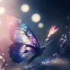 mariposasbellas