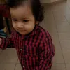 wilijoejoebasauri