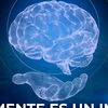 limberorteg2