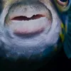 felix.m101