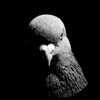 sadchiken0