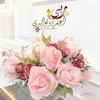 sihamrose3