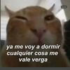 benja_ctm._
