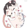 val ˚୨୧⋆｡˚ ⋆