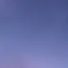cooliacerofl