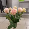 nitaliasivakova