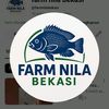 farm nila bekasi