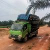abdulghoni7516
