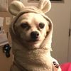 mr.peanutisangry