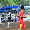 adywibowoadywibowo27
