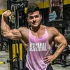 aladzeme