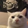 puka_15