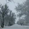 bo_om123