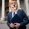 attorneyforthepaws__